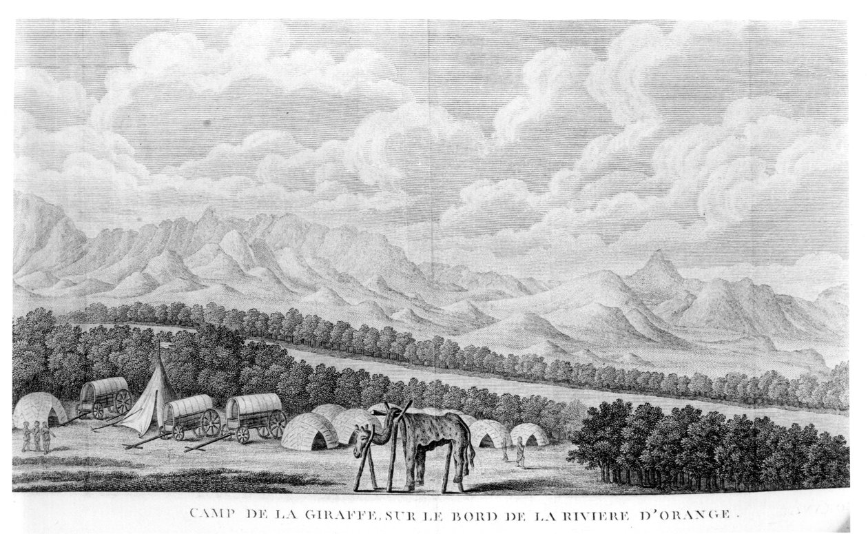 A Zsiráf tábor az Orange-folyó partján, Francois Le Vaillant (1753-1824) 1796-ban megjelent Second Voyage dans linterieur de lAfrique 2. kötetéből alkotó: French School