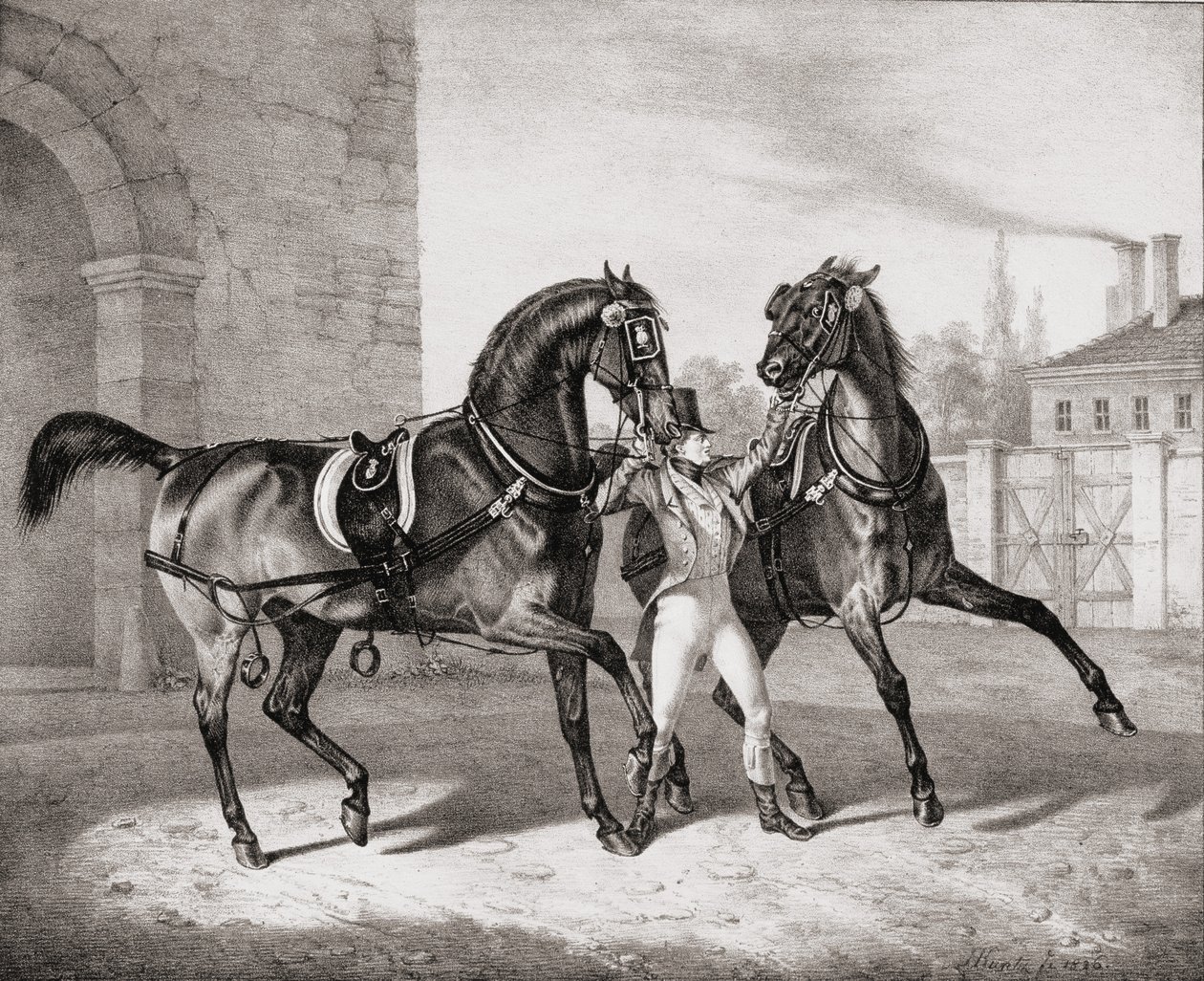Szekérlovak Anglia királyának, 1836 alkotó: French School