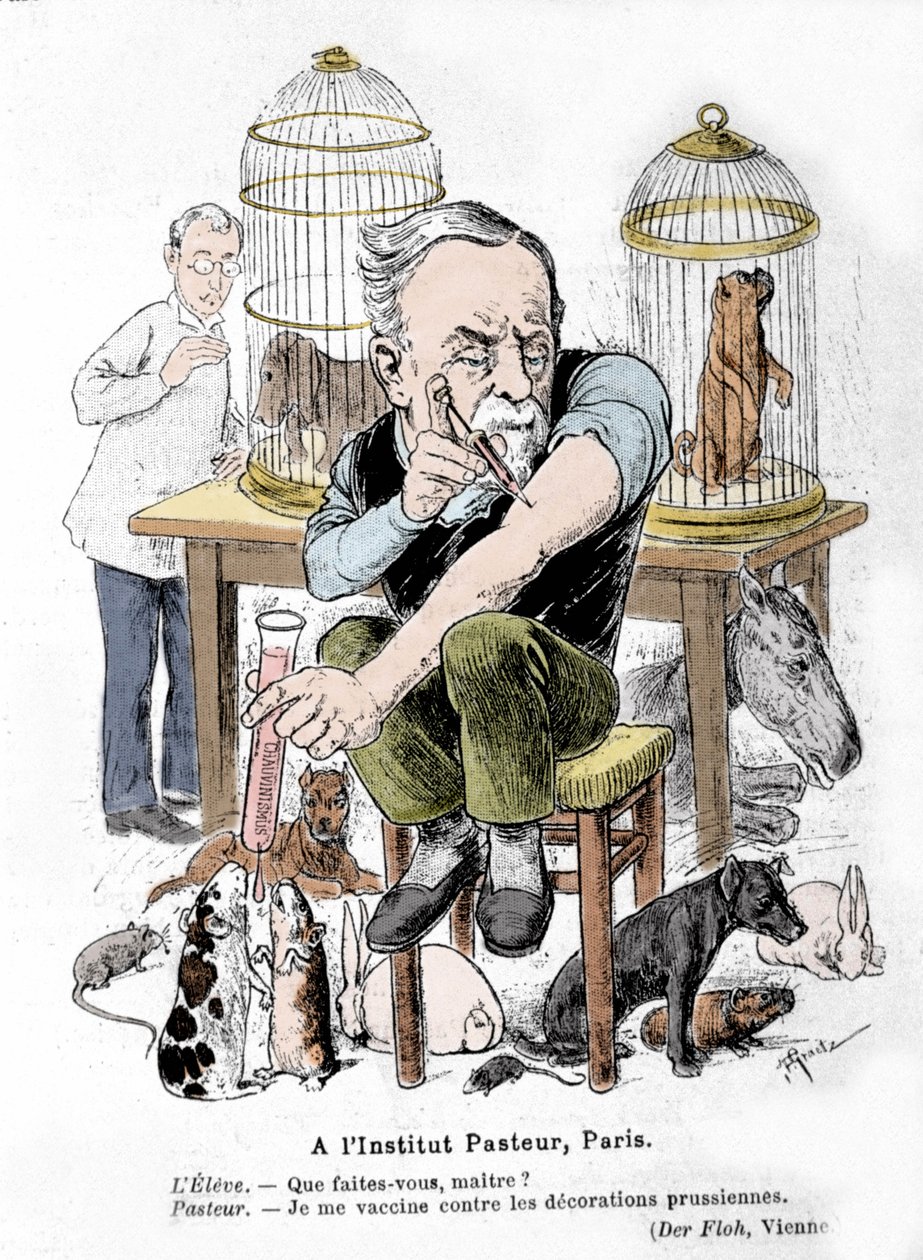 Louis Pasteur tudós, a veszettség elleni vakcina feltalálójának rajzfilmje, aki a porosz díszek ellen oltja magát. Publie in „Der Floh”” alkotó: French School