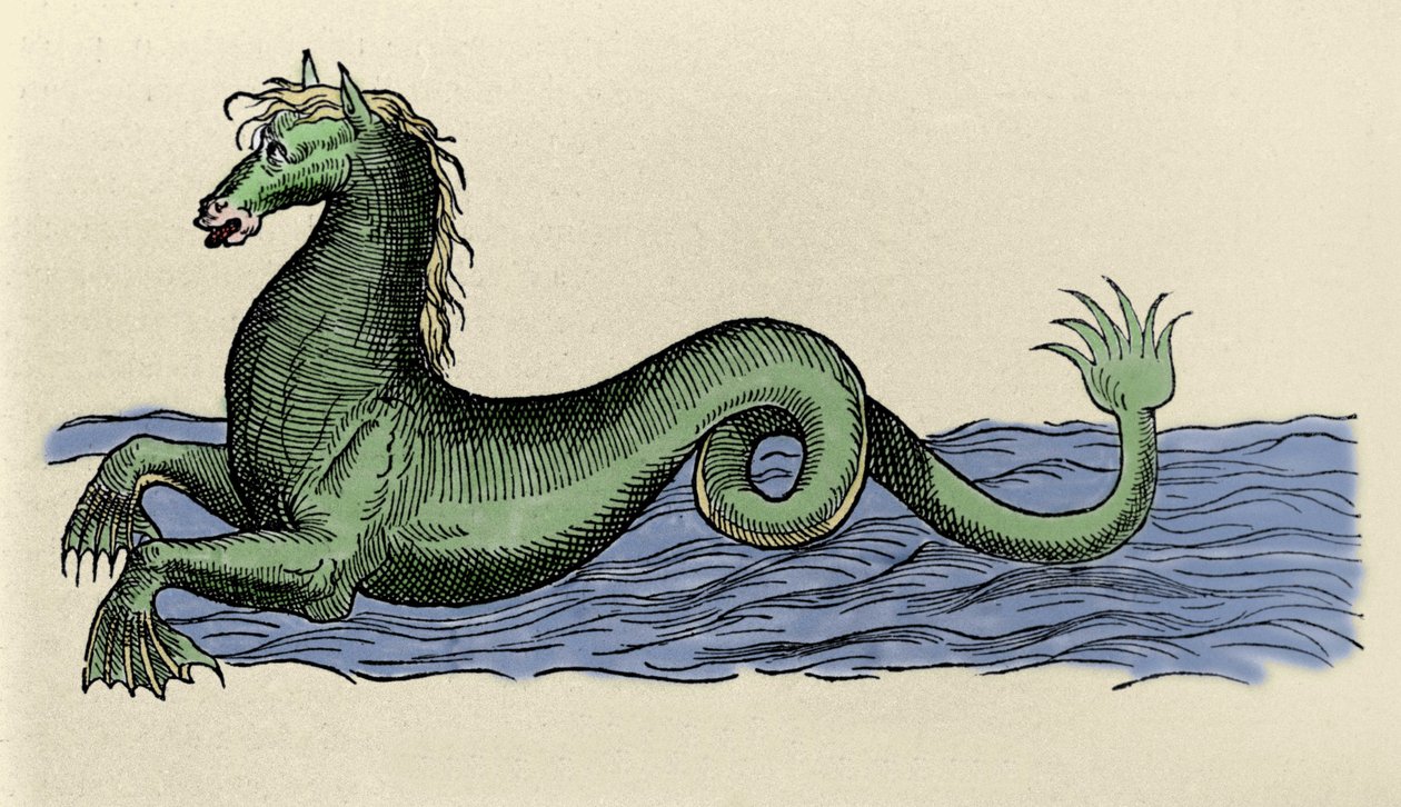 Cheval marin a „The Aquatilibus” című filmben alkotó: French School
