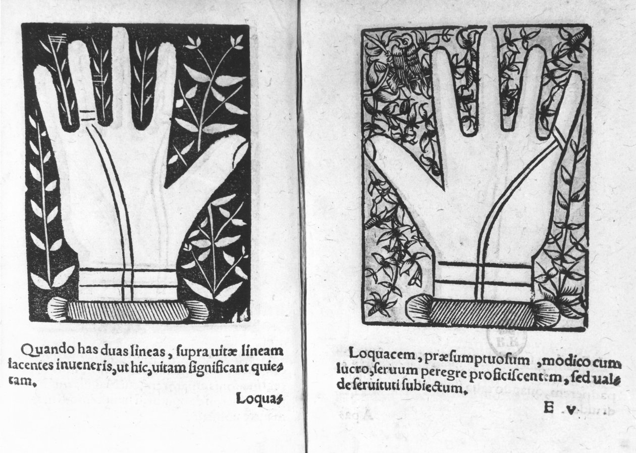 Chiromantikus kezek, illusztráció a Chiromatiae Principiisből ... Anastasis, Bartolommeo della Rocca (Cocles) 1467-1504) 1555 alkotó: French School