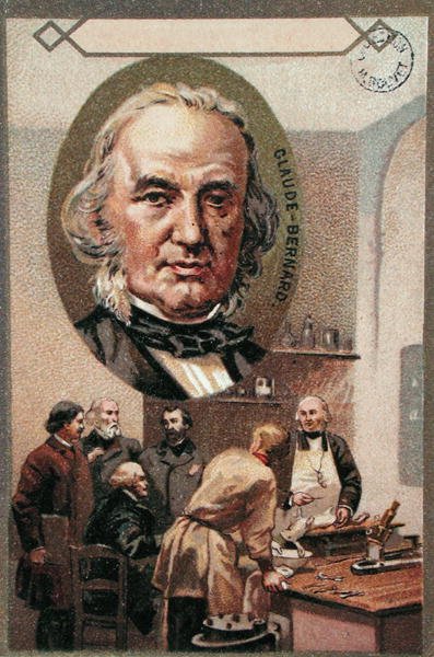 Claude Bernard (1813-78) (chromolitho) alkotó: French School