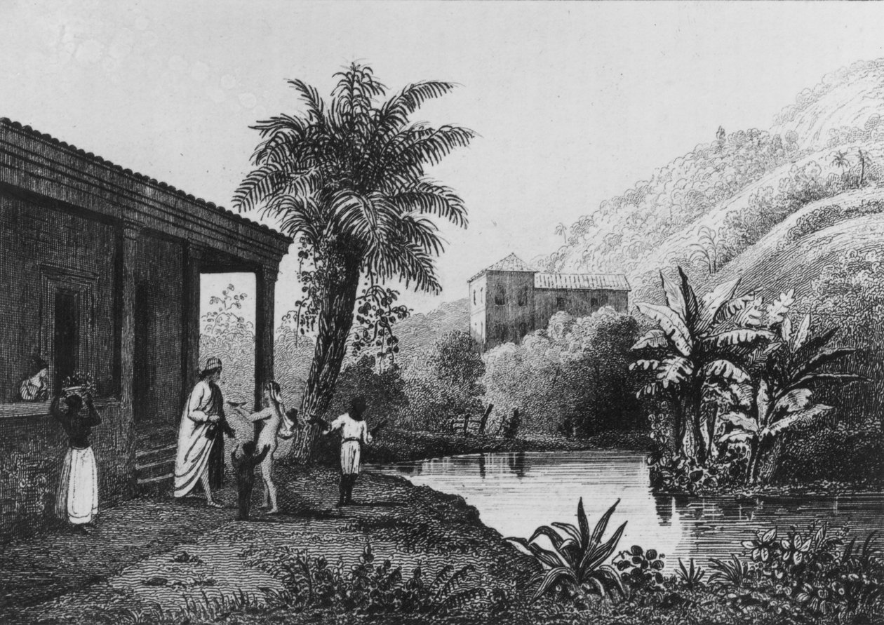 Kávéültetvény, "Bresil, Colombie et Guyanese"-ből, Ferdinand Denis és Cesar Famin 1837 (metszet) (f/w fotó) alkotó: French School