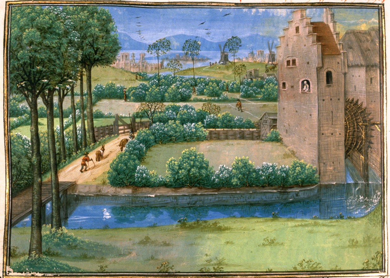 Cott Aug A V f.345v Flamand táj vízimalommal az előtérben és szélmalommal a háttérben, a "Histoire Universelle"-ből, 1286 körül (vellum) alkotó: French School