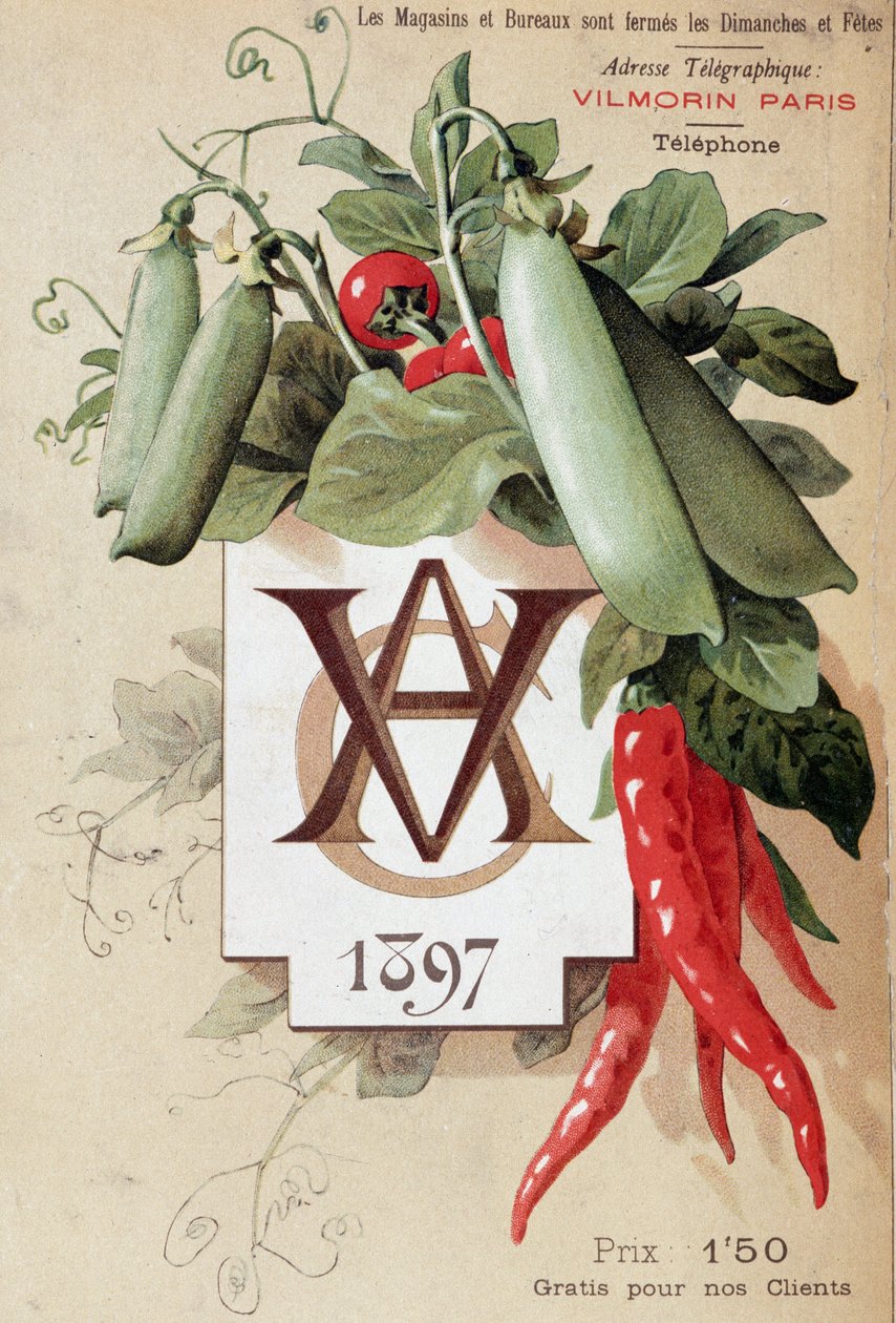 A Vilmorin katalógus borítója alkotó: French School