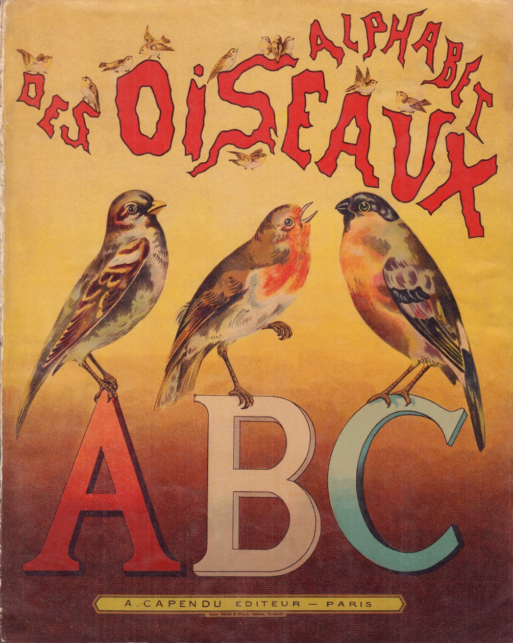 Lefedettség alkotó: French School