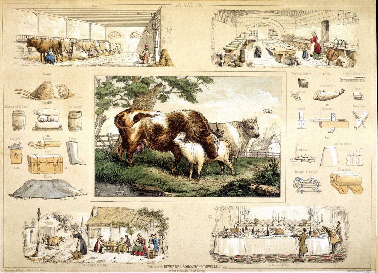 Tehén és termékei (fejés, tejtermék) alkotó: French School
