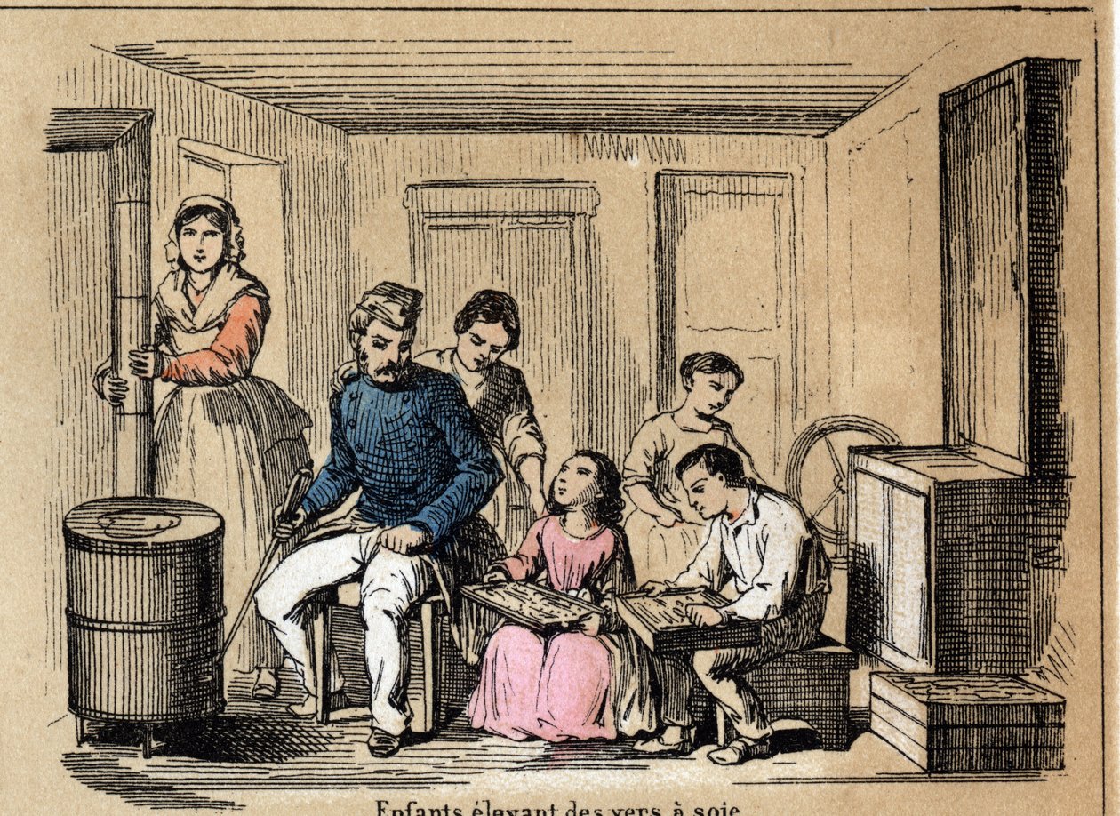 Kultúra leírása és selyemtermékek: selyemhernyót nevelő gyerekek. „” la soie”” tábla in „” les Recreations instructives”” Jules DELBRUCK szinoptikus festménye, metszet 1860-ból. Magángyűjtemény. alkotó: French School