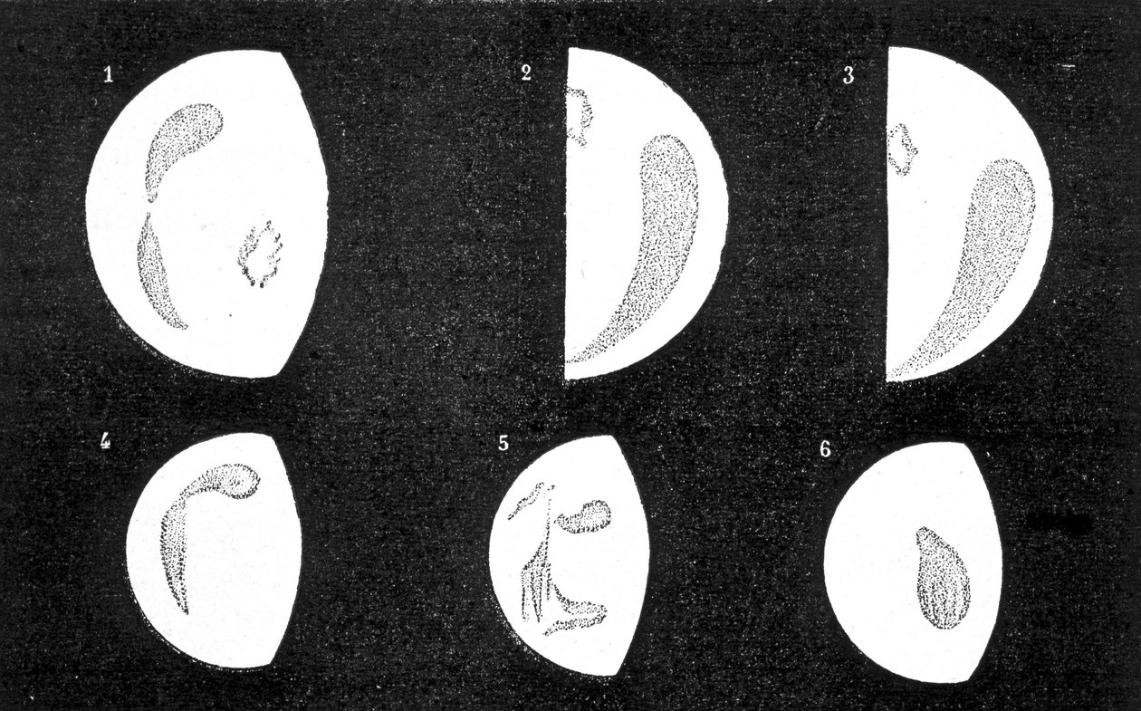 A Vénusz sötét és világos foltjai; 1, 2, 3, D. Cassini által 1667-ben és 1667-ben megfigyelt foltok; 4, 5, 6, M. Langdon által 1871-ben megfigyelt foltok – Amédée Guillemin „” Le Ciel” című művében alkotó: French School