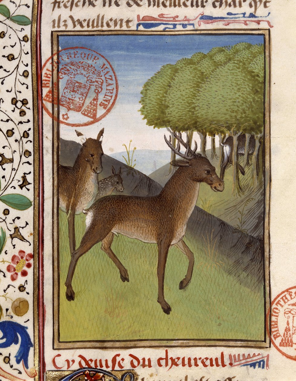 Szarvasok és szarvasok – a „” Gaston Phoebus, Foix grófja, Béarn ura” vadászkönyvében” alkotó: French School
