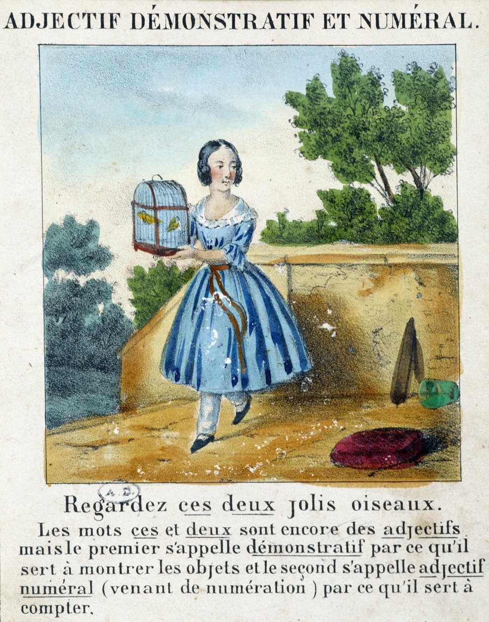 Demonstratív és numerikus melléknév (egy lány ketrecben 2 madárral) - a „” La grammaire en images”-ban” alkotó: French School