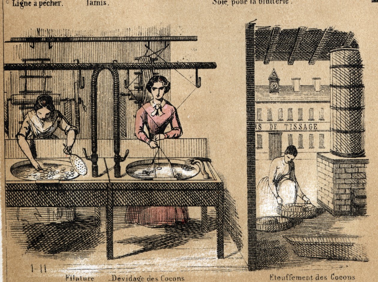 A termény- és selyemtermékek leírása: selymet fonó, gubókat eltávolító vagy elfojtó munkások. „” la soie”” tábla in „” les Recreations instructives”” Jules DELBRUCK szinoptikus festménye, metszet 1860-ból. Magángyűjtemény. alkotó: French School