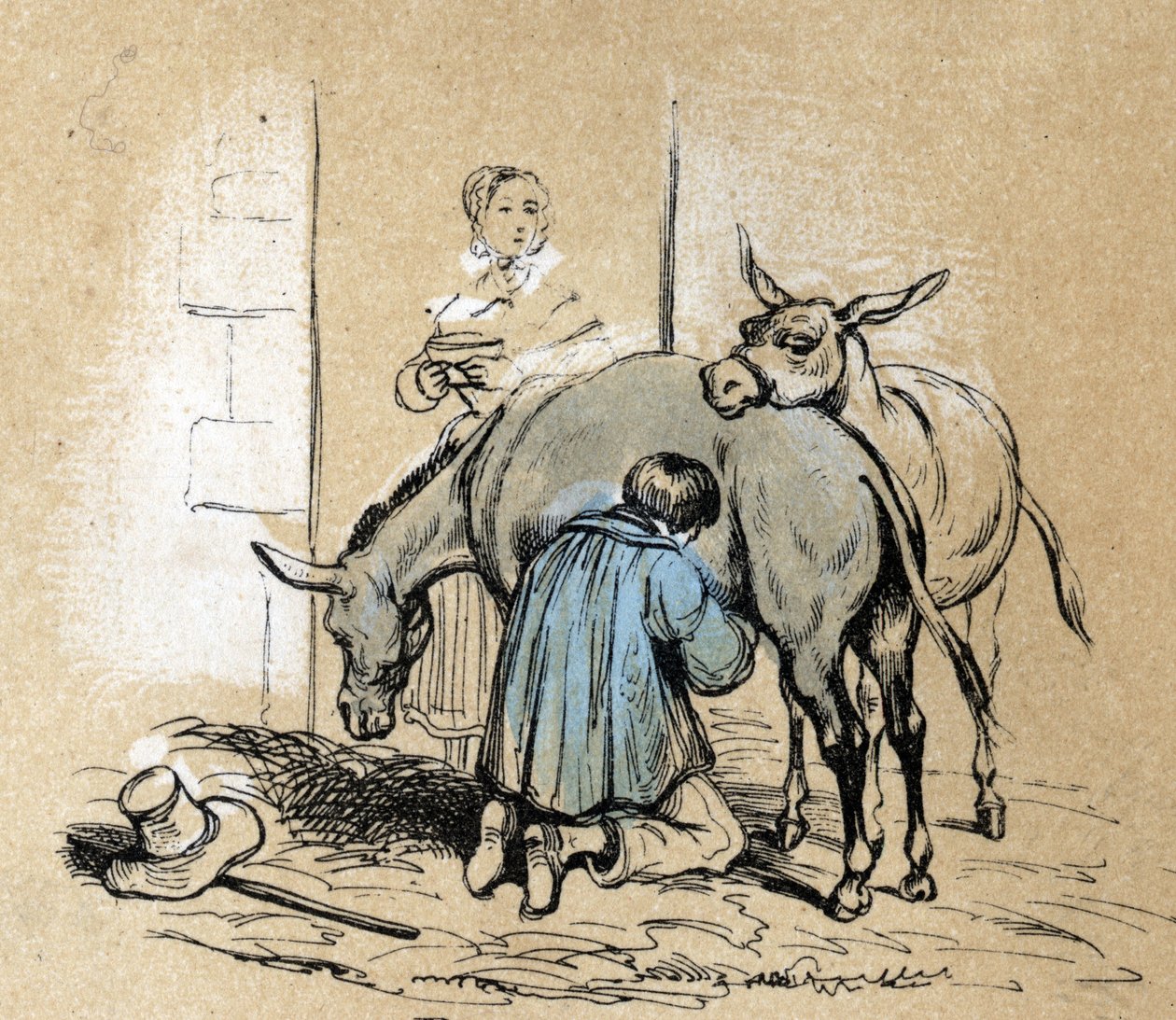 Description of the different products and uses of donkey: the production of danesse
