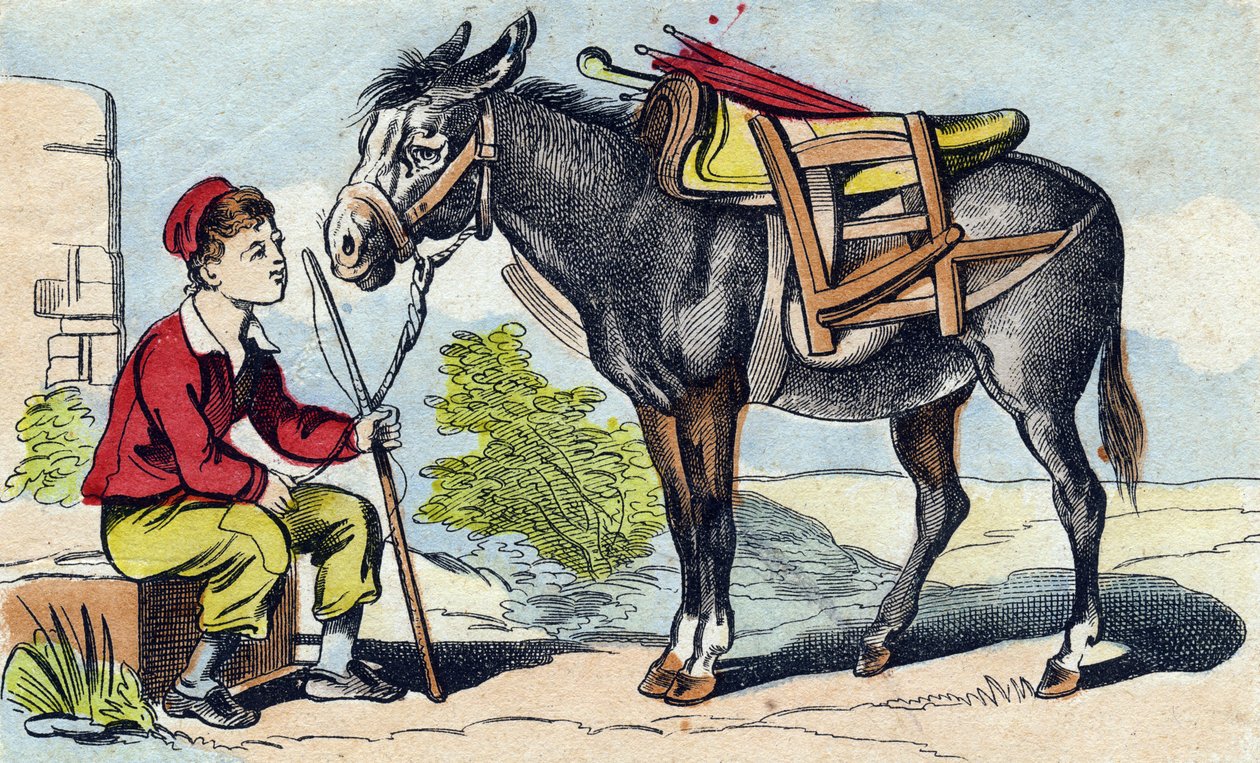 Szamár. Metszet „Buffon Alphabet des Animaux". 3. sorozat N 1. Epinal képalkotása, Epinal, 19. század vége. 16 oldal. Mérete: 28x21 cm alkotó: French School