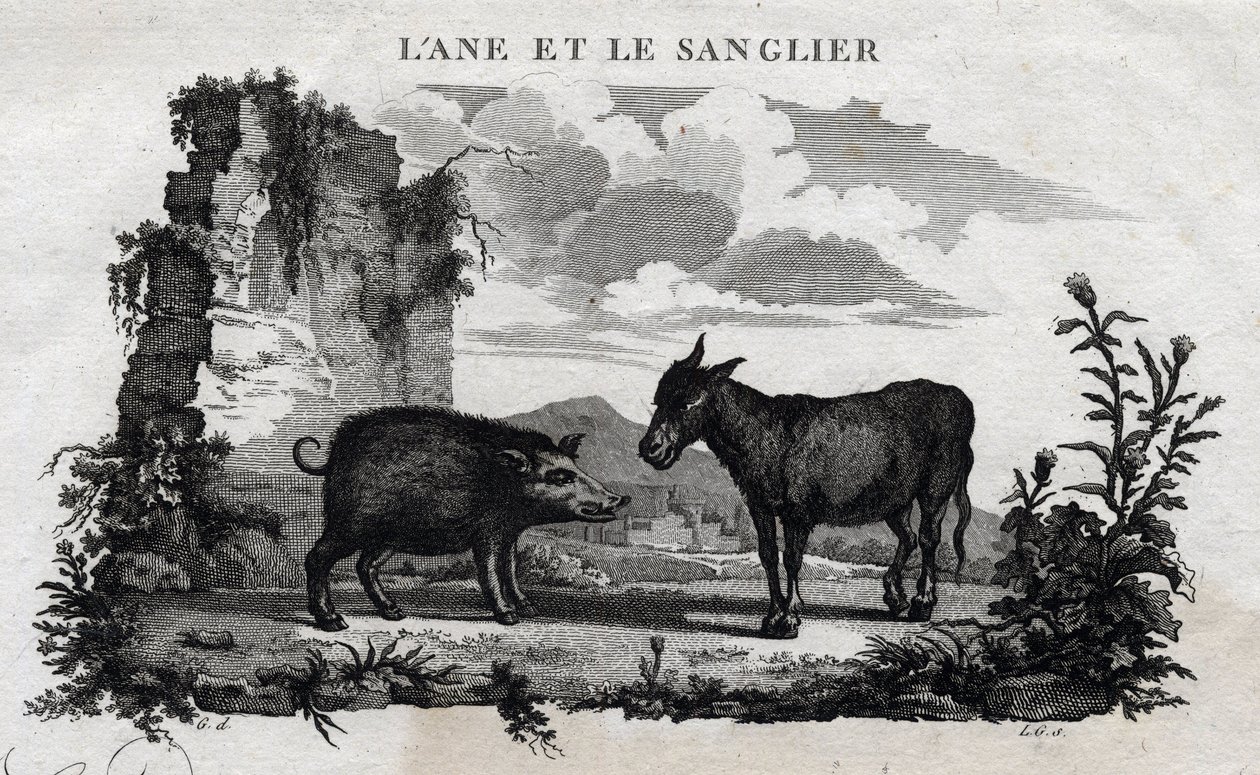 Szamár és vaddisznó. Esope meséje. (Görög író Esopo vagy Ecopus, Kr. e. 6. század) Írta Guillaume Montfort és Gravees Beauble 1801-ben. alkotó: French School
