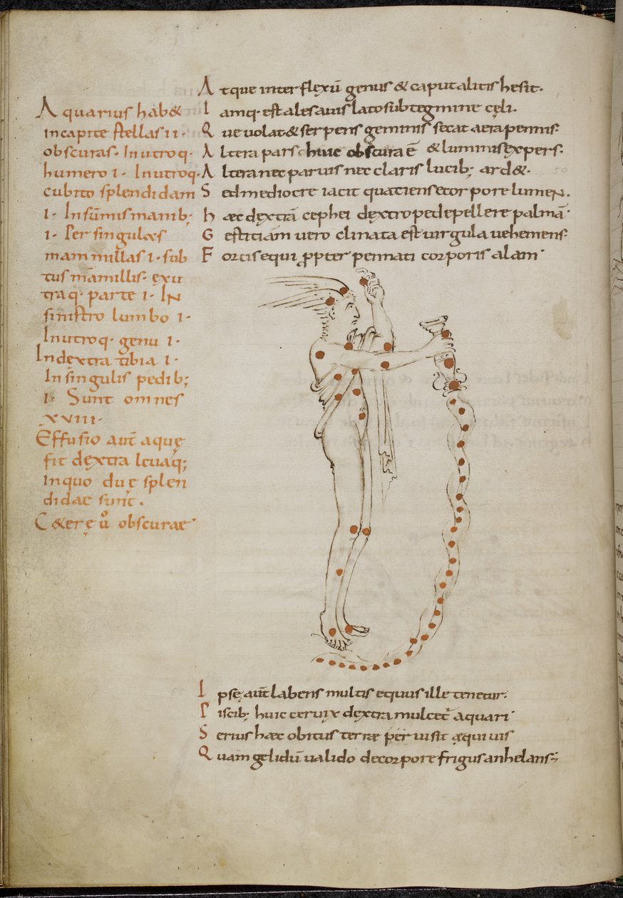 Rajz a Vízöntő csillagképről, a csillagok vörös pontok formájában, a „Phaenomena”-ból (más néven Aratea) (vellum) alkotó: French School