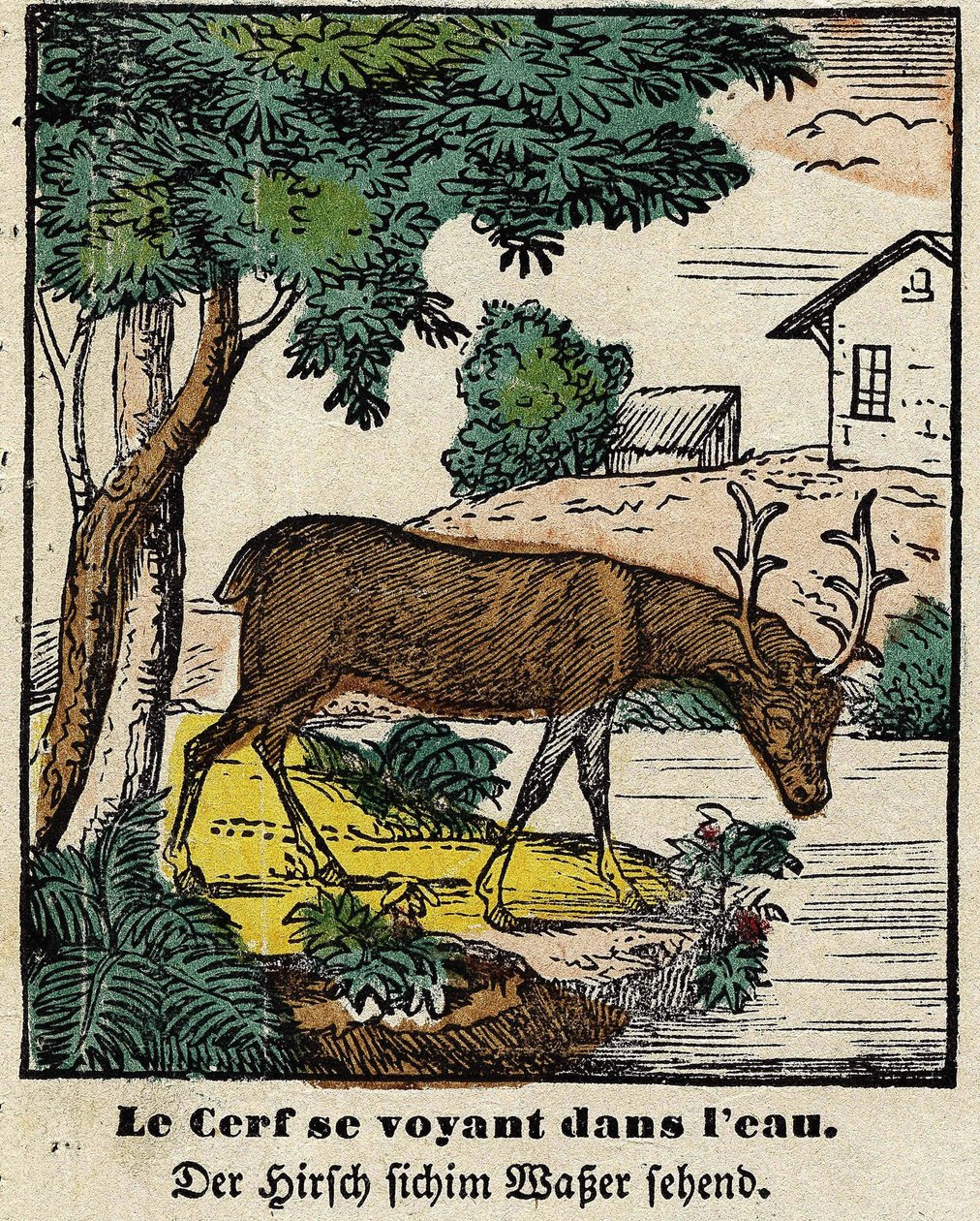 Fables de La Fontaine: a szarvas, aki meglátja magát a vízben. Epinal képe, 19. század első fele alkotó: French School