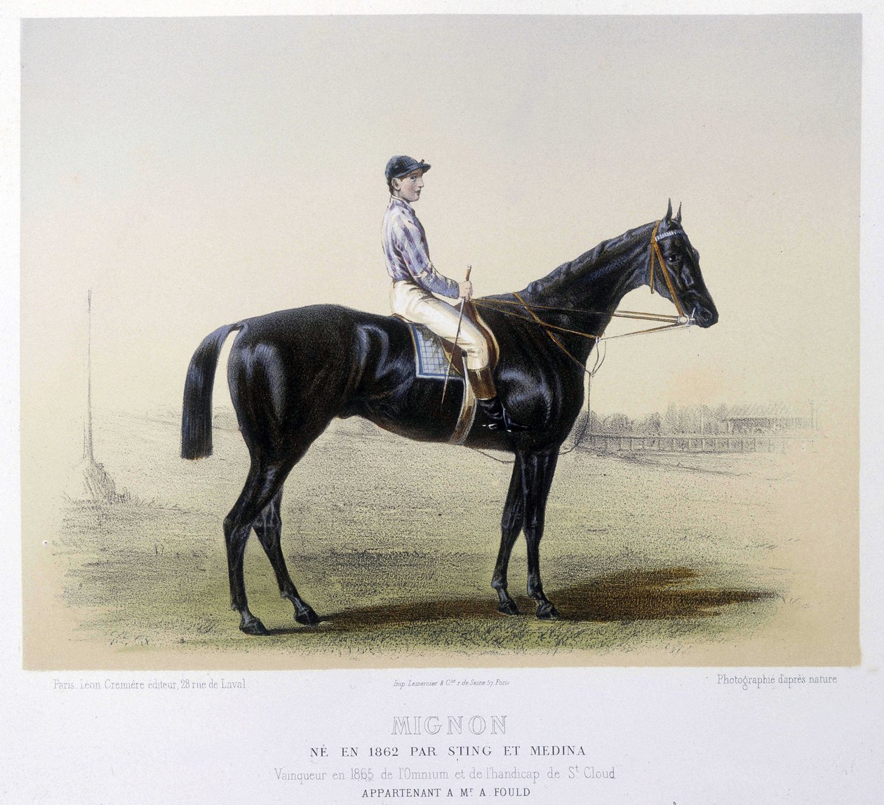 Híres versenyló - a "" A kentaur" című filmben 1866-ban alkotó: French School