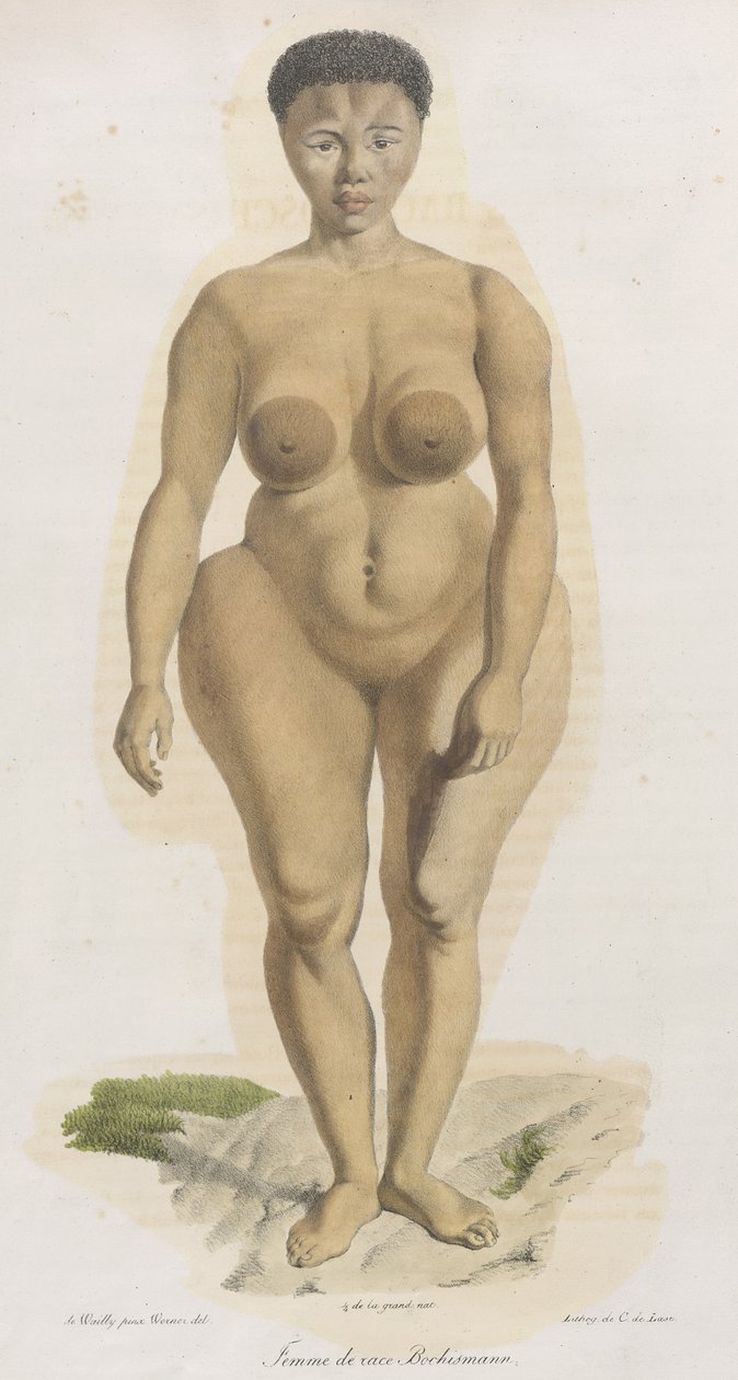 "Femme de race Bochismann". Ez a lemez nyilvánvalóan Sara (Saartjie) Baartman (1789-1815) képe, egy khoisan, akit Dél-Afrikából hoztak át, hogy Piccadilly-ben nyilvánosan kiállítsák „Hottentot Vénusz” címmel, mert a történtek miatt. alkotó: French School