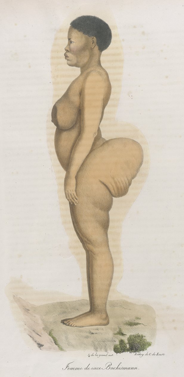 "Femme de race Bochismann". Ez a lemez nyilvánvalóan Sara (Saartjie) Baartman (1789-1815) képe, aki egy khoisan volt, akit Dél-Afrikából hozattak át, hogy Piccadillyben nyilvánosan kiállítsák a „Hottentot Vénusz” címmel, mivel a alkotó: French School