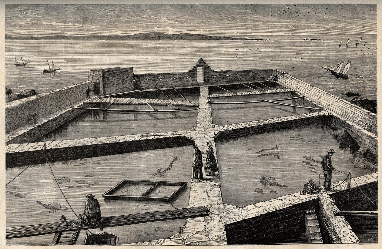 Haltenyésztés Concarneau-ban - Bretagne - Establishment de pisciculture - Concarneau - Finistere - Bretagne - "" PATRIE" vésés - FRANCIAORSZÁG KÉPES LEÍRÁSA 6 KÖTETÉSBEN LUCIEN HUARD - 19. század vége alkotó: French School