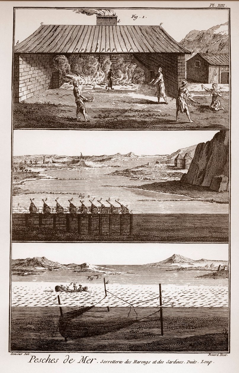 Halászat, hering és szardínia – Peches de Mer – Sorretterie des herring et des sardines – „” La Grande Encyclopédie, ou Dictionnaire Raisonne des Sciences, des Arts et des Metiers”” (Encyclopedia vagy Dictionary of the Sciences, Arts and Professions) Deni alkotó: French School