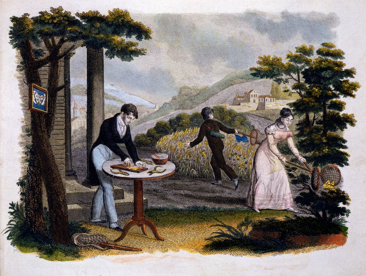 Eugene Balland (1796-kb. 1850) előlapja a Les Papillons...-ból, kiadó: P. Blanchard, Lecerf, Párizs, 1823 (színes metszet) alkotó: French School