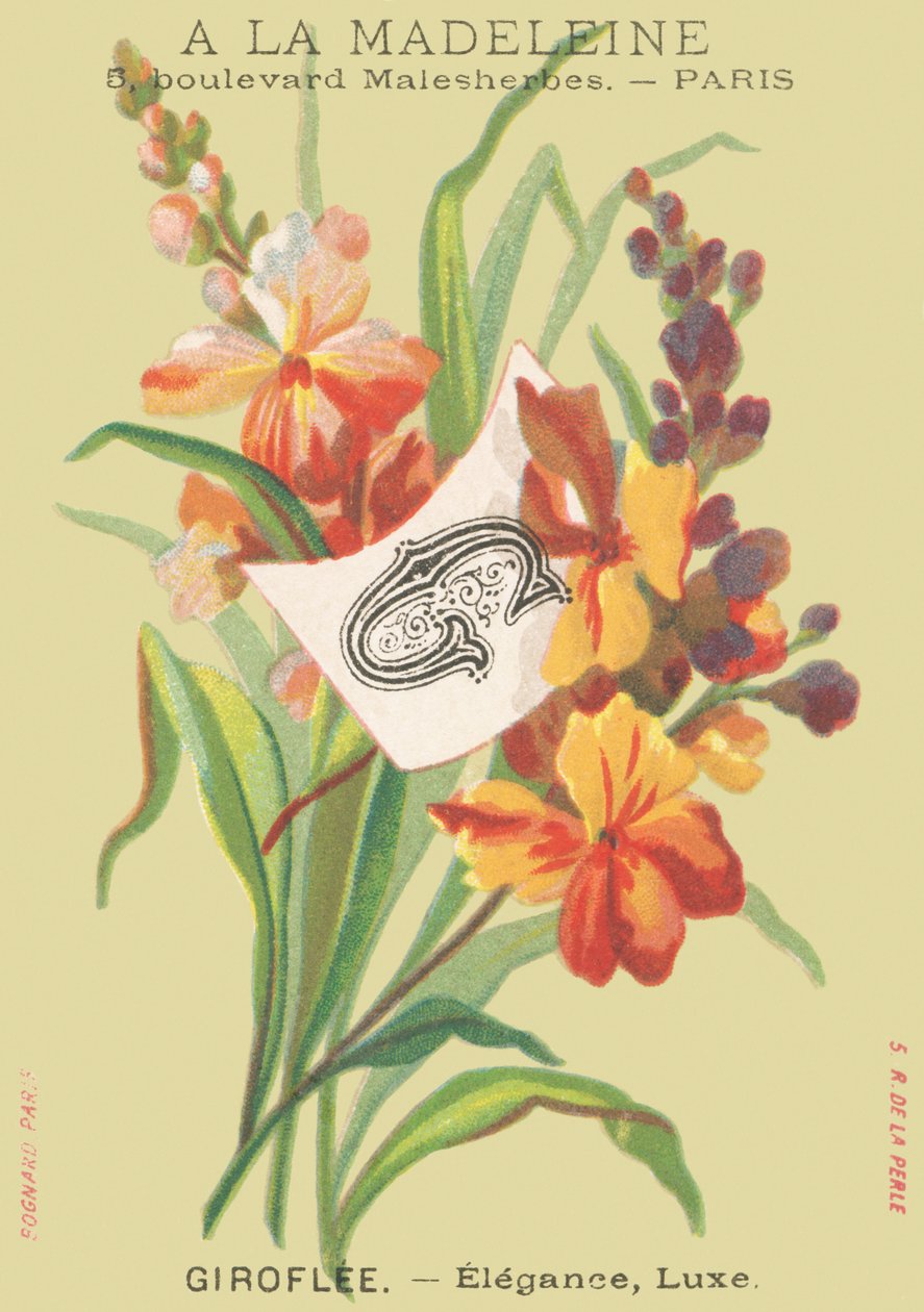 G: Giroflee – elegancia, luxus alkotó: French School