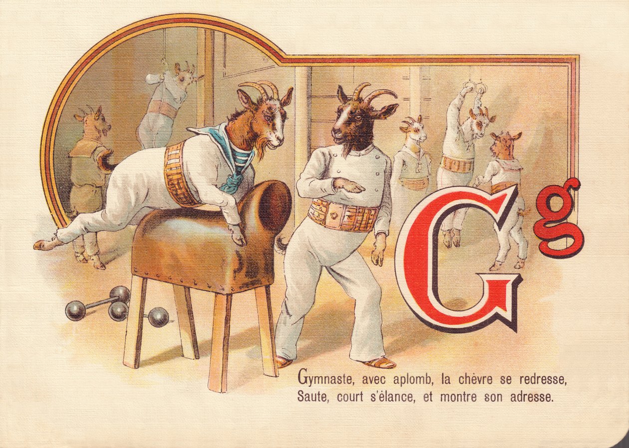 G: Tornász, aplombával, a kecske kiegyenesedik, ugrik, fut, és megmutatja ügyességét alkotó: French School