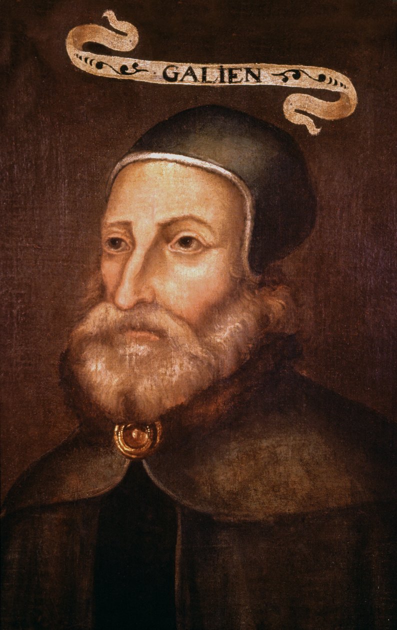 Galen. 17. század (festmény) alkotó: French School
