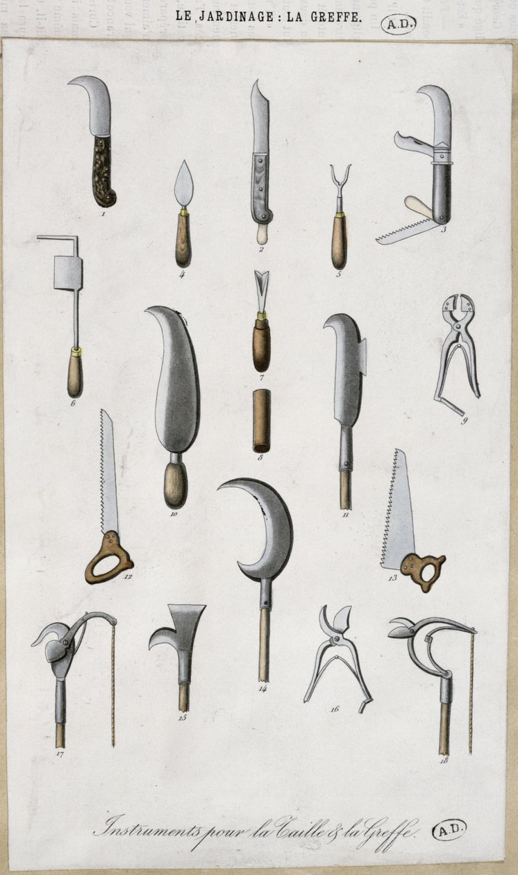 Kerti szerszámok oltáshoz és metszéshez (színes gravírozás) alkotó: French School