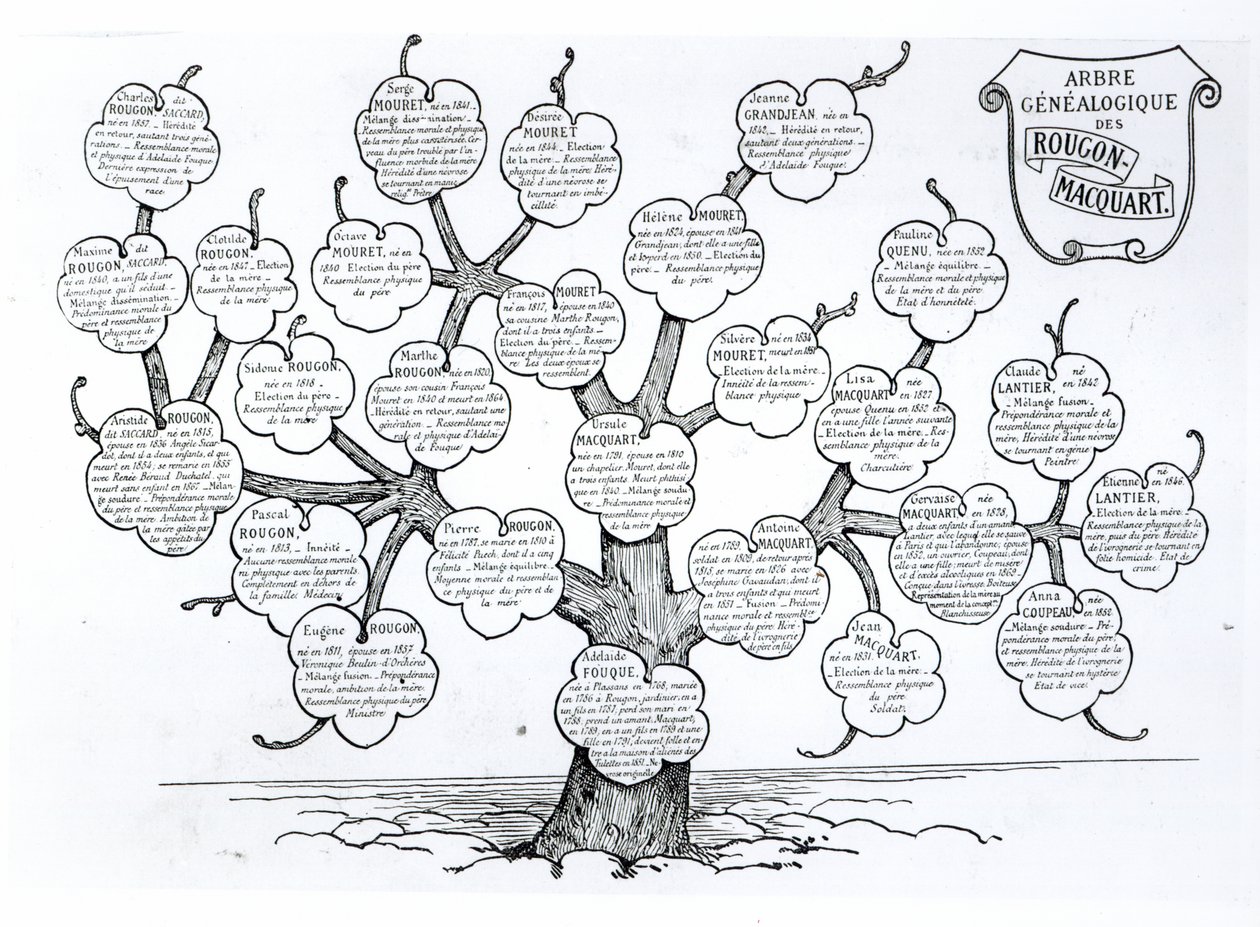 A Rougon-Macquart család genealógiai fája alkotó: French School