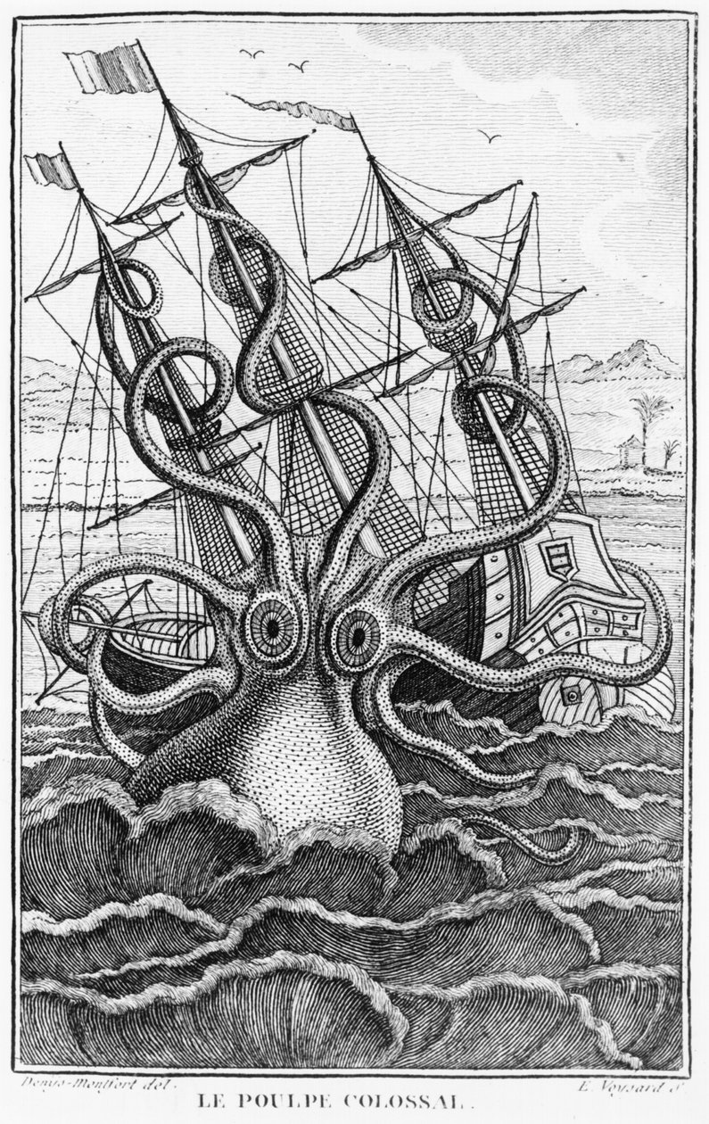 Óriáspolip, illusztráció a puhatestűek általános és különleges természetrajzából, Denys-Montfort c. 1802-03 alkotó: French School