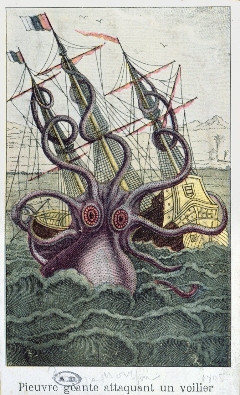 Óriáspolip, illusztráció a puhatestűek általános és különleges természetrajzából, Denys-Montfort c. 1802-03 alkotó: French School