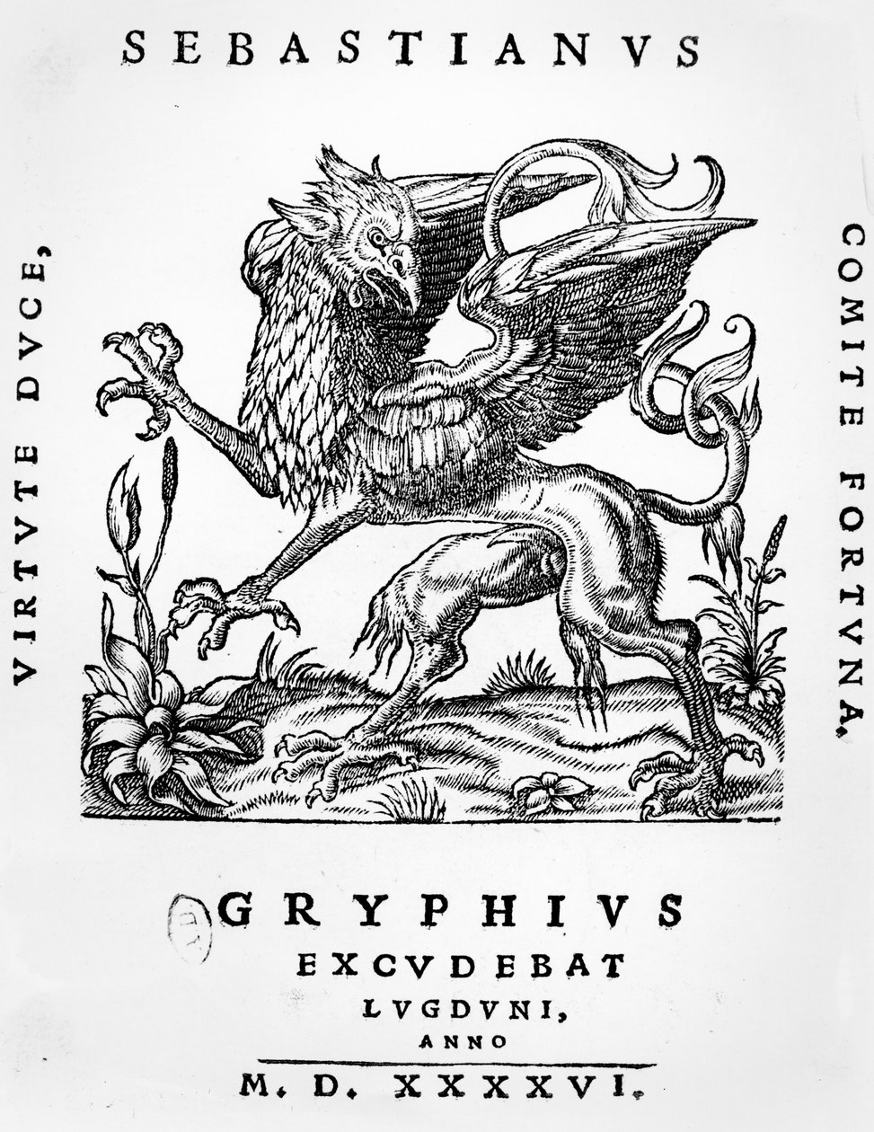 Sebastianus Gryphius Griffin nyomdász emblémája, Lyon, 1546 alkotó: French School
