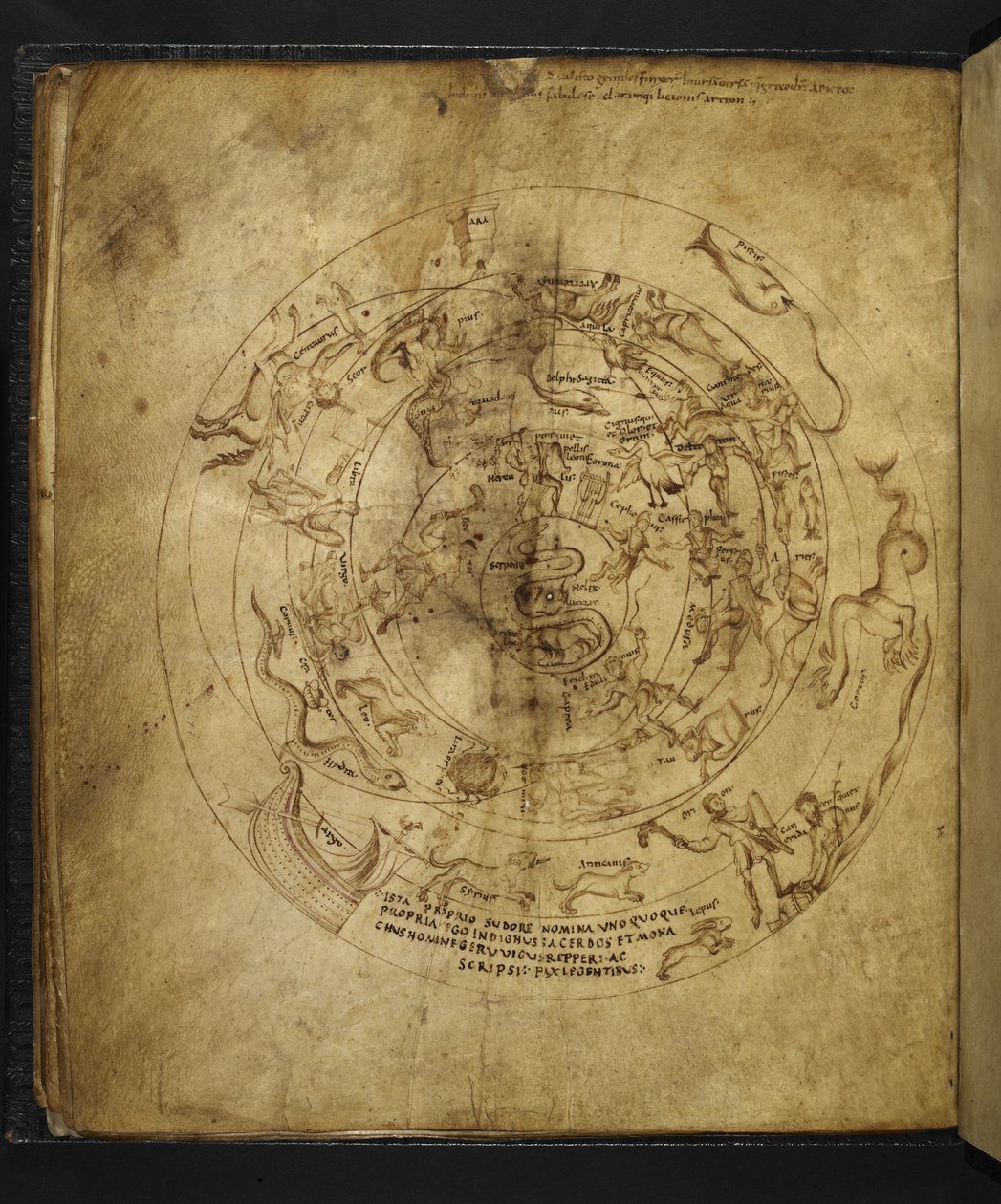 Harley 647 f.21v Az északi és déli félteke diagramja, Marcus Tullius Cicero (vellum) „Aratus”-ból. alkotó: French School