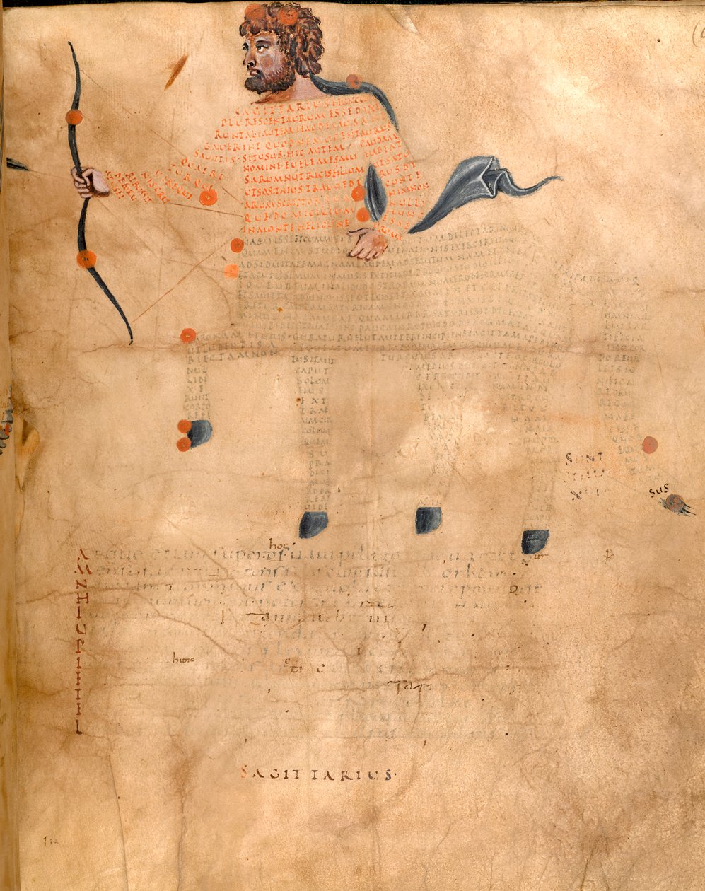 Harley 647, f.3v A Nyilas csillagkép illusztrációja, Marcus Tillius Cicero „Harley Aratus” című művéből, 1820-40 körül (vellum) alkotó: French School