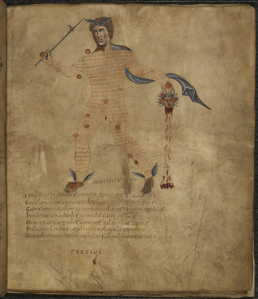 Harley 647, f.4 Perseus, a görög mitológia hősének illusztrációja a kígyószőrű Medúza fejével, szöveggel vagy scoliával a csillagkép alakjában, „Aratus”-tól, Marcus Tullius Cicero (vellum) alkotó: French School