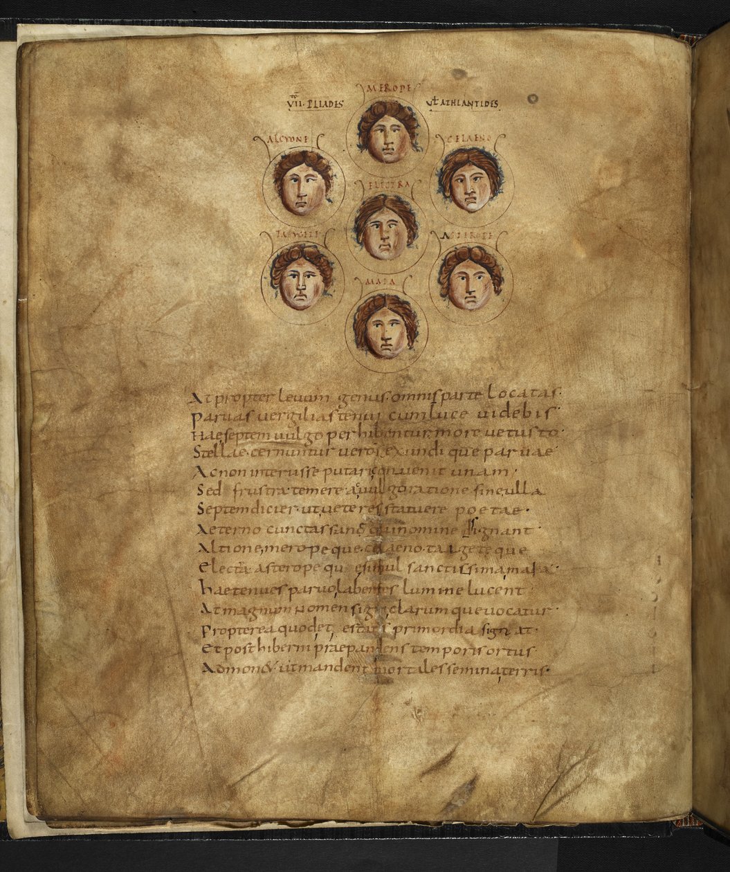 Harley 647, f.4v Illusztráció a Plejádok arcáról, hét nővérről, akik csillagként éltek a mennyben, körülöttük nevükkel, Marcus Tullius Cicero (vellum) „Aratus” című művéből alkotó: French School