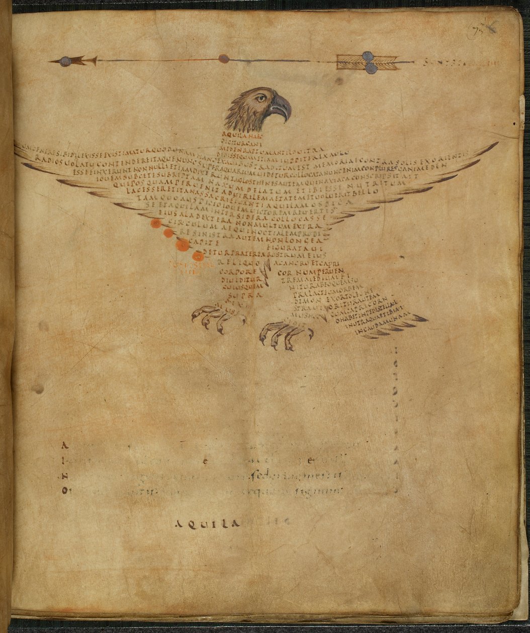 Harley 647, f.7 Illusztráció az „Aquila, a sas” csillagképről, „Aratea, kivonatokkal Hyginus Astronomica in the Constellation Figures” című művéből, készítette: Marcus Tullius Cicero (tinta és színes papíron) alkotó: French School