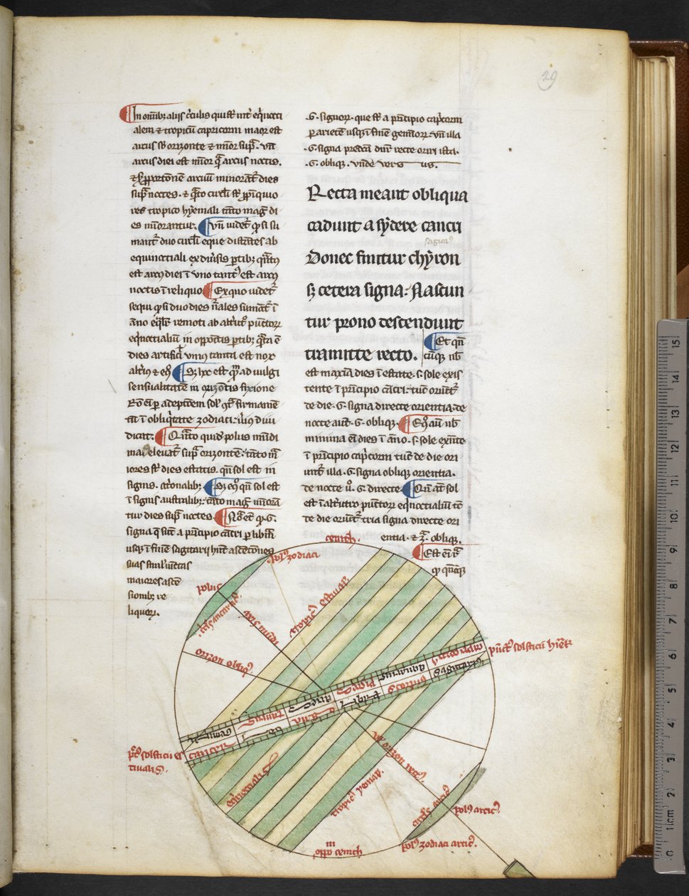 Harley MS 3647 f.29 a 