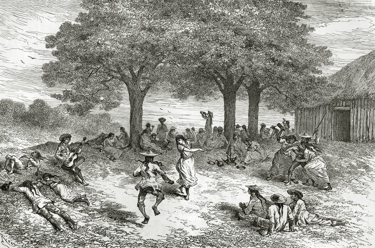 Coca betakarítása, Peru, illusztráció a Le Tour du Monde magazinból, 1877 alkotó: French School