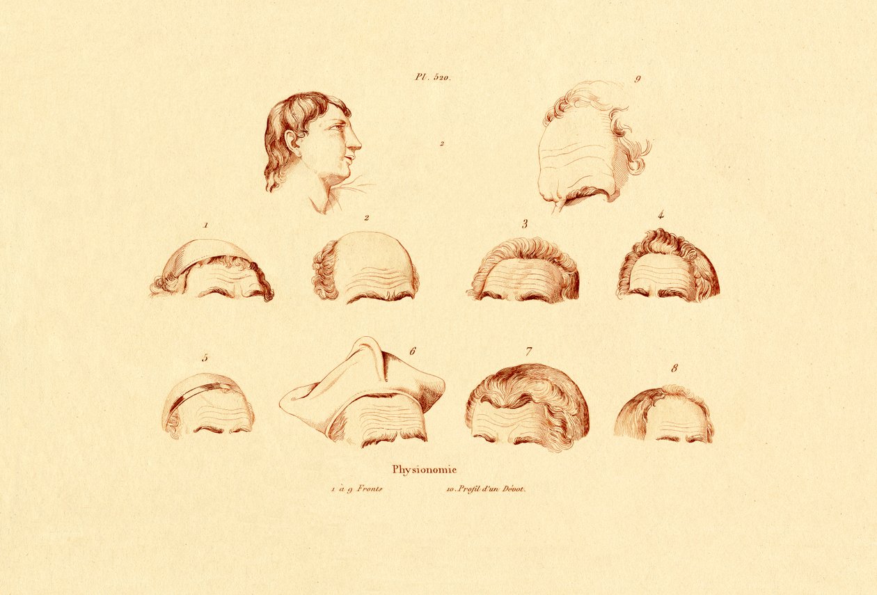 Fej, 1833-39 alkotó: French School