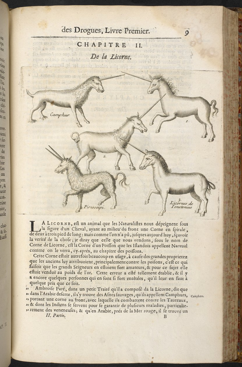 "A drogok általános története, növényekkel, állatokkal és ásványokkal..." Pierre Pomet alkotó: French School