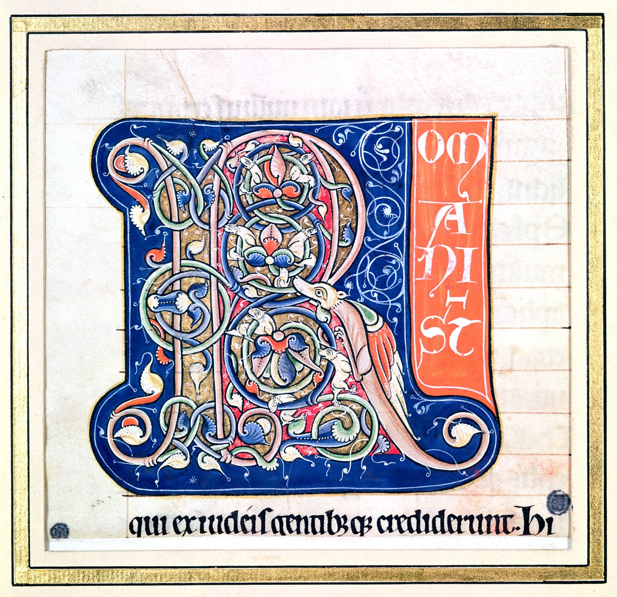 Történelmi kezdetű „R”, amely fantasztikus állatokkal összefonódó mintát ábrázol, Saint-Andre aux-Bois Bibliájából alkotó: French School