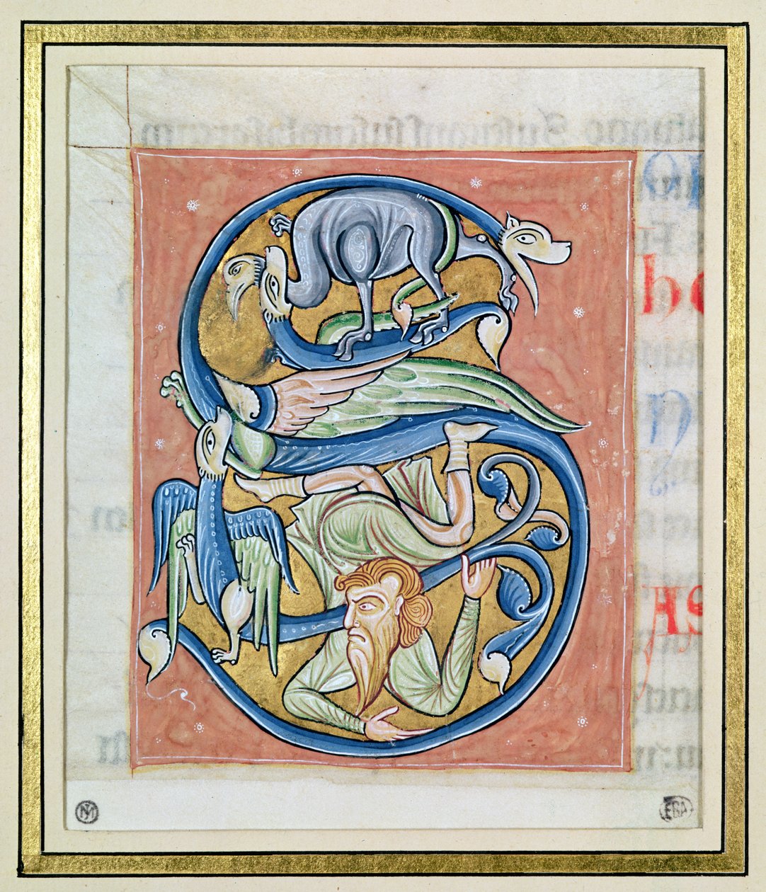 Történelmi kezdetű „S”, amely egy akrobatát és fantasztikus állatokat ábrázol, Saint-Andre aux-Bois Bibliájából (vellum) alkotó: French School