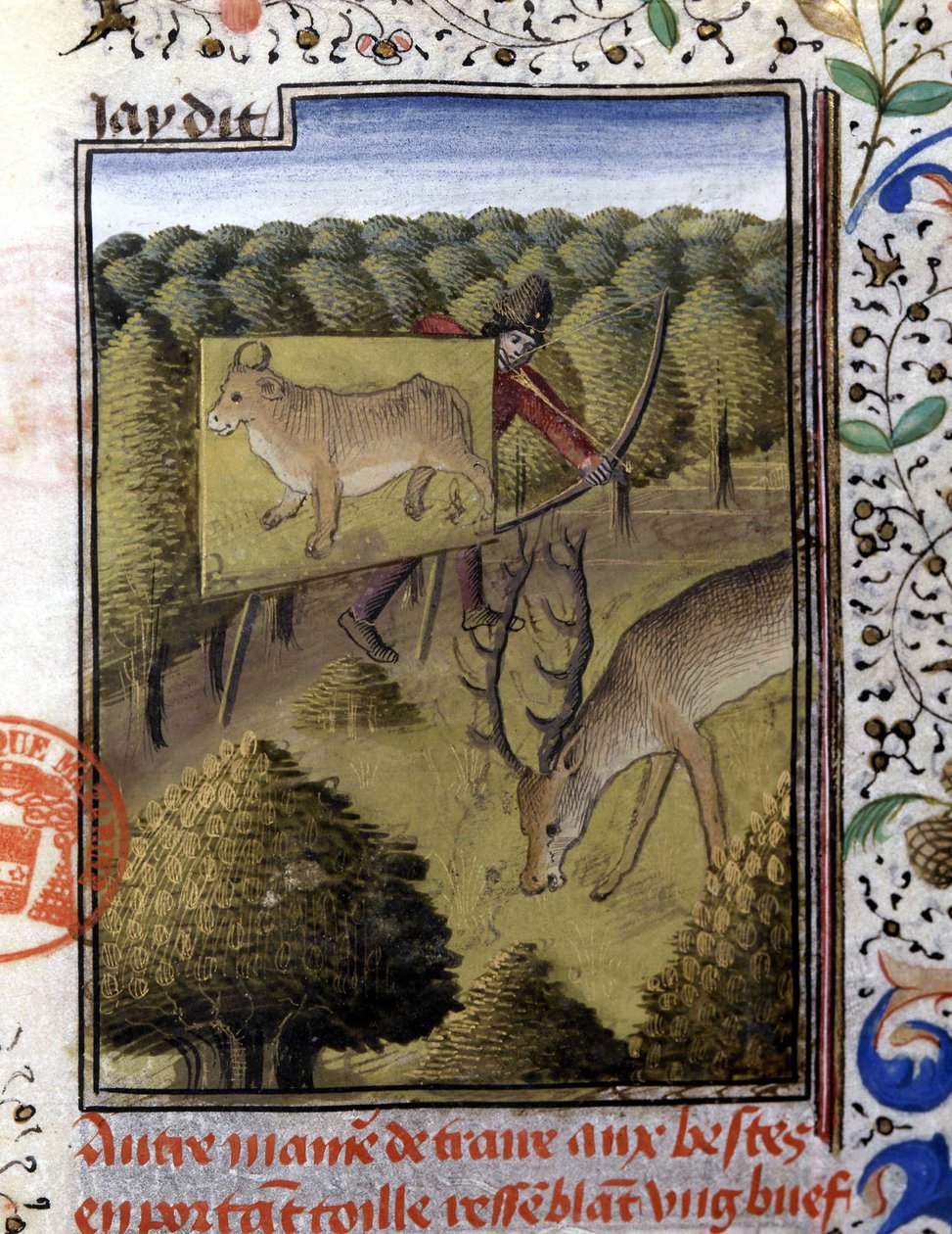 Szarvasvadászat csalival – Gaston Phoebus, Foix grófja, Béarn ura „” vadászkönyvében” alkotó: French School