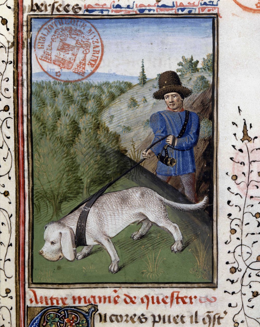 Lángoló pórázon tartott vadászkutya – Gaston Phoebus, Foix grófja, Béarn lordja, a „Vadászat könyvében”” alkotó: French School