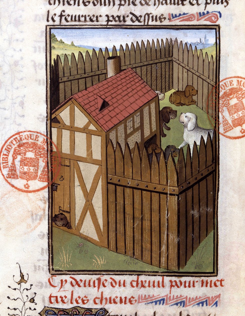 Vadászkutyák kennelben – Gaston Phoebus, Foix grófja, Medve ura „” vadászkönyvében” alkotó: French School