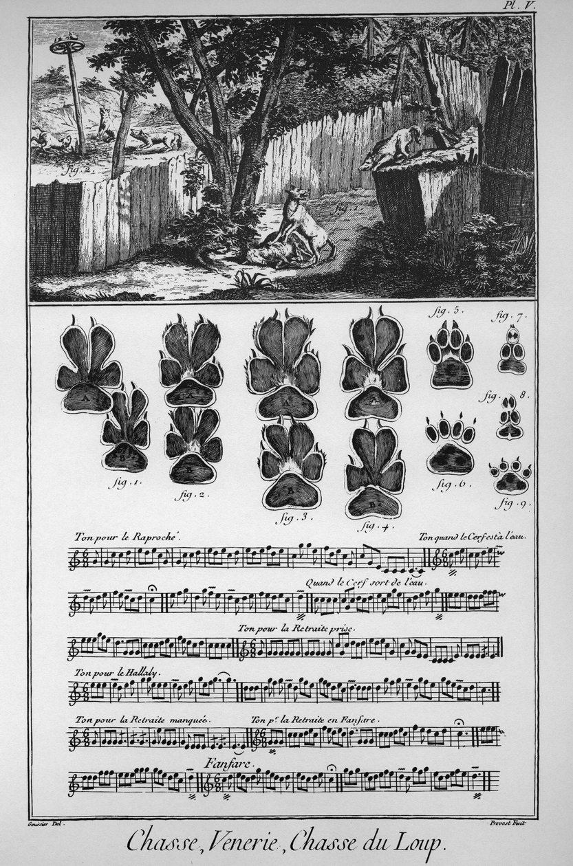 Vadászat a farkasra (a farkasok elfogásának különböző módjai vagy csapdái) - Denis Diderot (1713) "" The Great Encyclopedia, ou Dictionnaire Raisonne des Sciences, des Arts et des Metiers" -1784) és alkotó: French School
